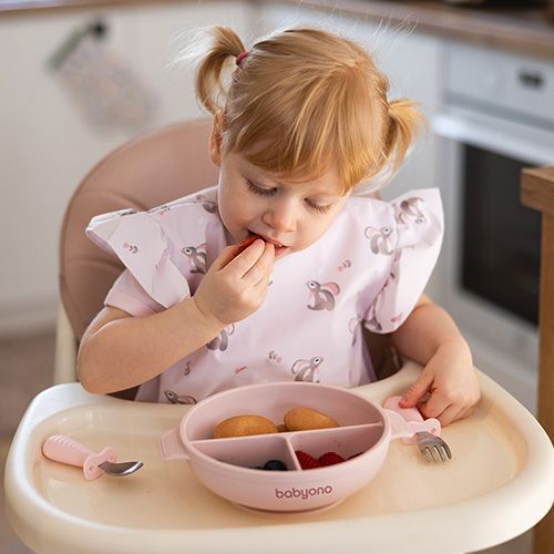 Силіконова тарілка на три секції з присоскою та кришечкою Babyono Рожева 1661-02 фото
