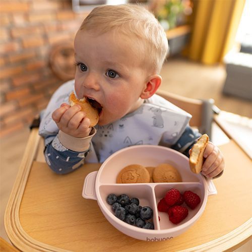 Силіконова тарілка на три секції з присоскою та кришечкою Babyono Рожева 1661-02 фото